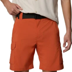 Silver Ridge Utility Walking Shorts Mens
