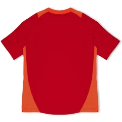 Slb Tr Jsy Y T-Shirt Unisex Kids