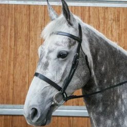 Snaffle Bridle with Reins