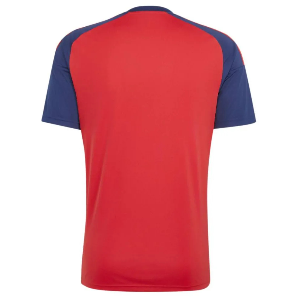 Spain Fan Jersey World Cup ™ 2026 Adults