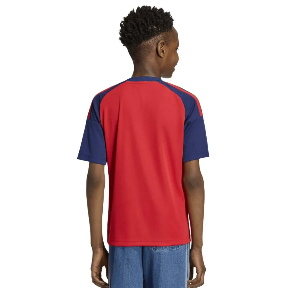 Spain Fan Jersey World Cup ™ 2026 Junior