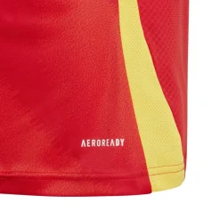 Spain Home Shirt 2024 Juniors