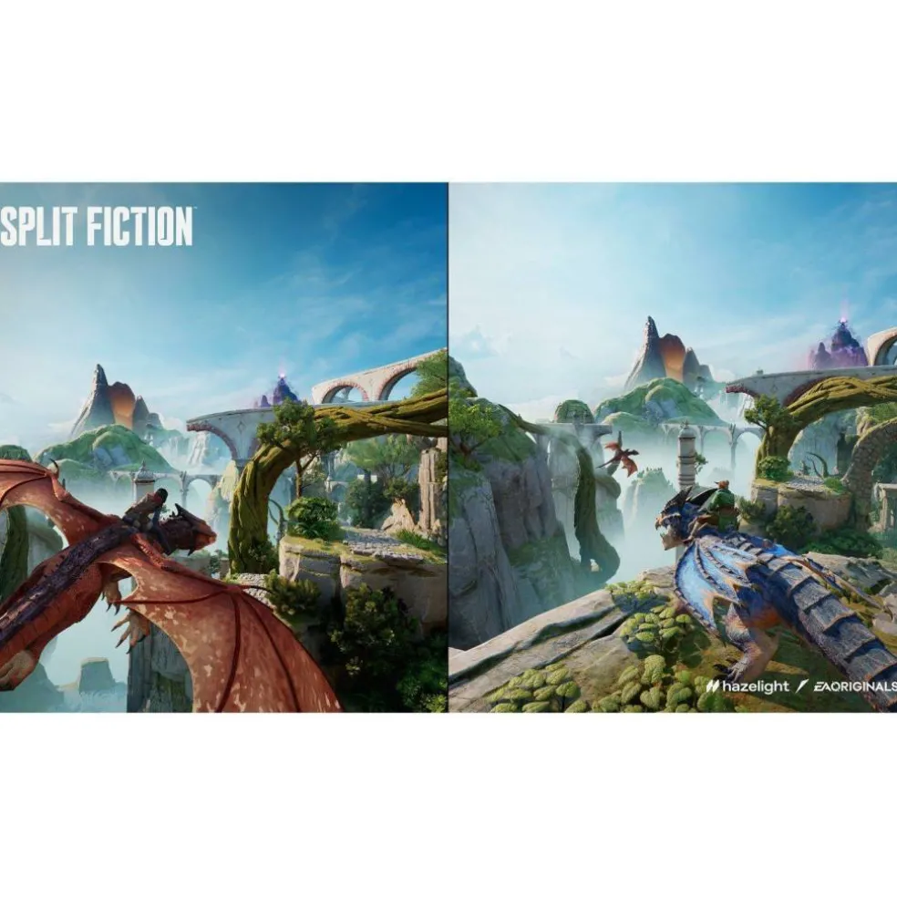 Split Fiction