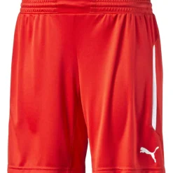 (5) Statment Shorts Womens
