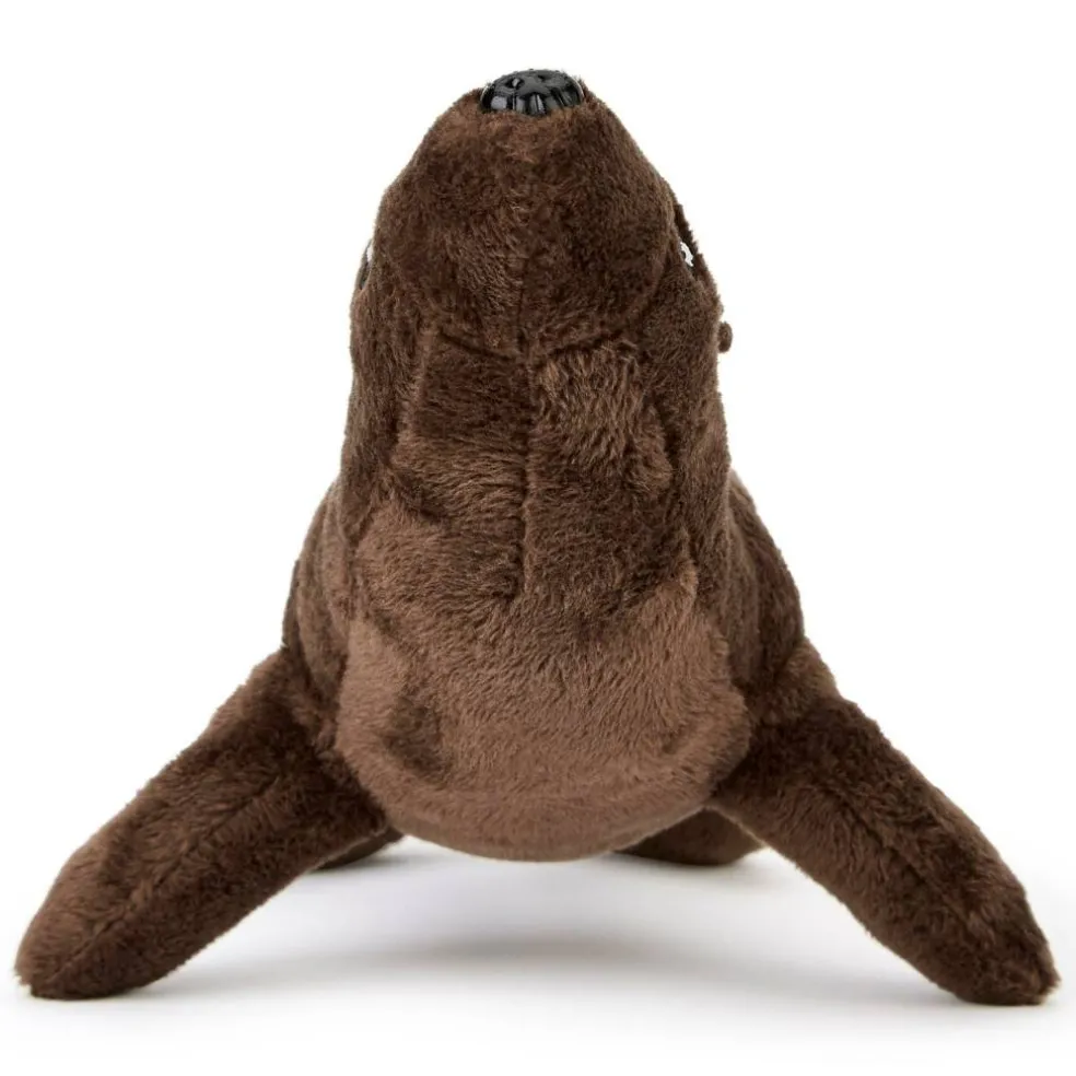 Team Zappi Co California Sea Lion Soft Toy 17 cm