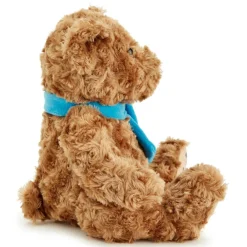 Team Zappi Co Congratulations Classic Bear Soft Toy 25 cm