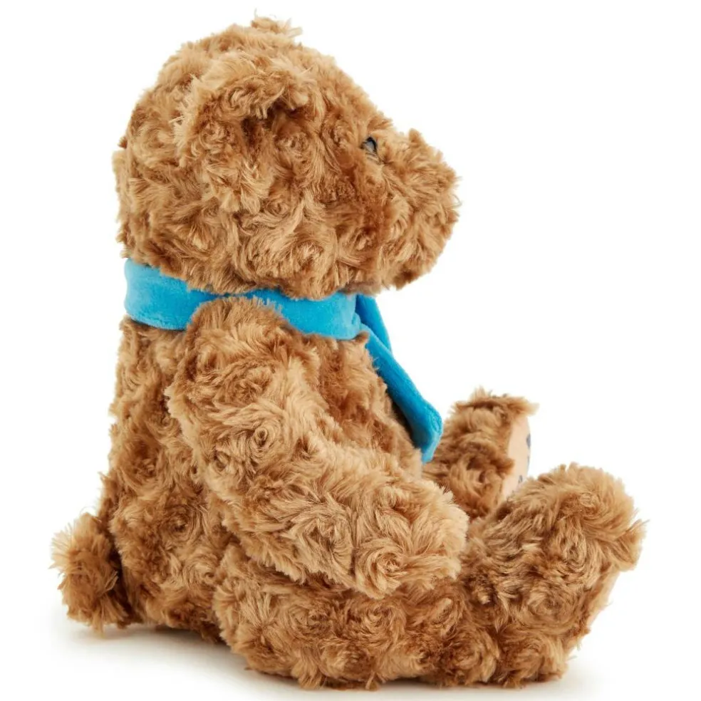 Team Zappi Co Congratulations Classic Bear Soft Toy 25 cm