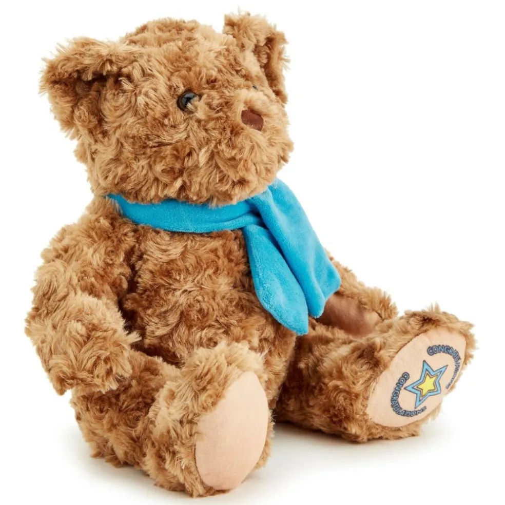 Team Zappi Co Congratulations Classic Bear Soft Toy 25 cm
