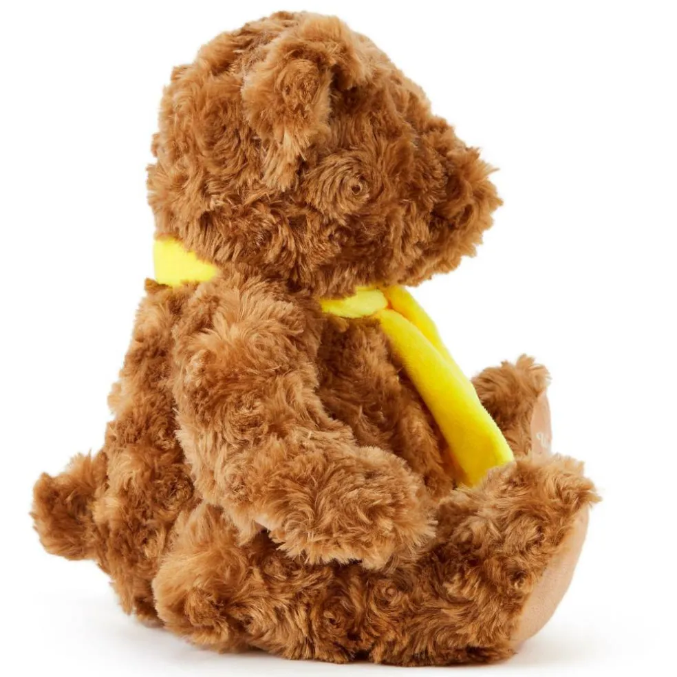 Team Zappi Co Mothers Classic Bear Soft Toy 25 cm