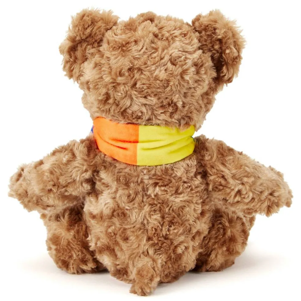Team Zappi Co Pride Classic Bear Soft Toy 25 cm