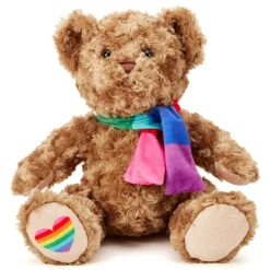 Team Zappi Co Pride Classic Bear Soft Toy 25 cm