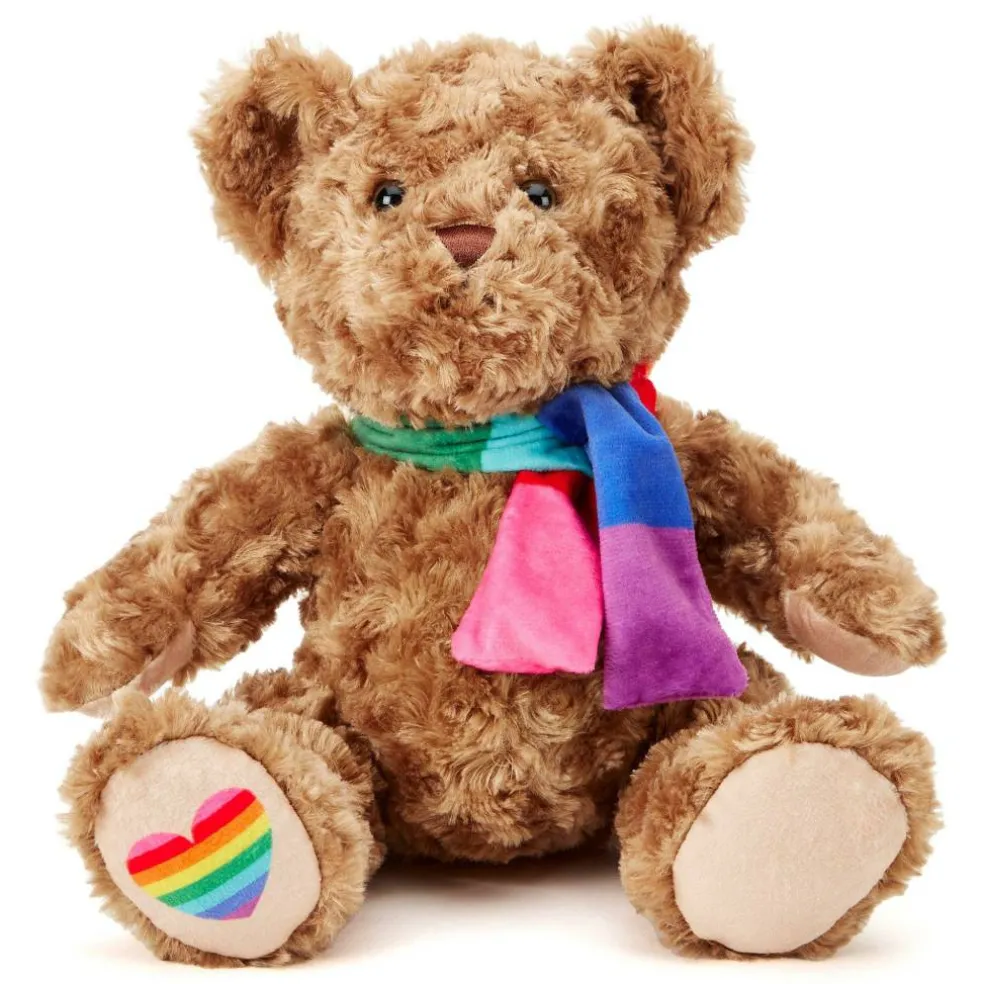 Team Zappi Co Pride Classic Bear Soft Toy 25 cm