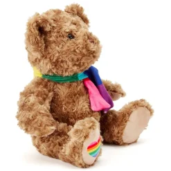 Team Zappi Co Pride Classic Bear Soft Toy 25 cm