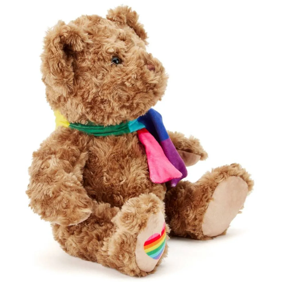 Team Zappi Co Pride Classic Bear Soft Toy 25 cm
