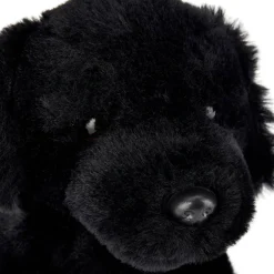 Team Zappi Co Soft Toy