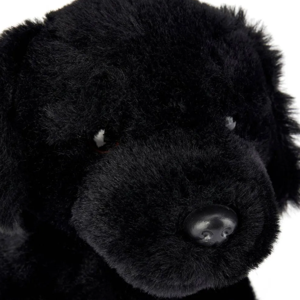 Team Zappi Co Soft Toy