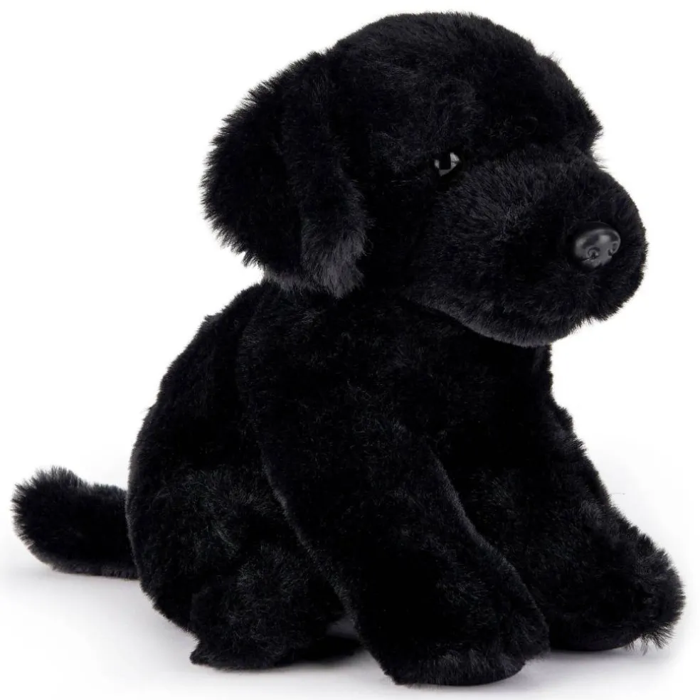 Team Zappi Co Soft Toy