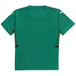 Team Cup Jersey Top Junior