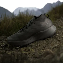 Terrex Agravic GTX Trail Running Shoes Womens
