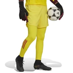 Tiro 23 Pro Goalkeeper Tights