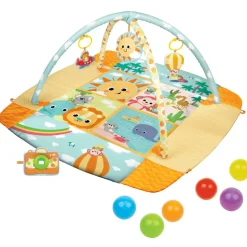 Travel Fun Deluxe Gym