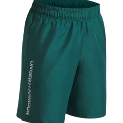 UA Tech™ Woven Wordmark Shorts Boys'
