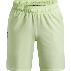 UA Tech™ Woven Wordmark Shorts Boys'