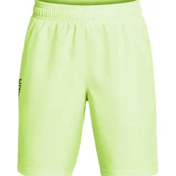 UA Tech™ Woven Wordmark Shorts Boys'