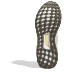 Ultraboost 1.0 Shoes