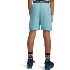 Vanish Performance Gym Shorts