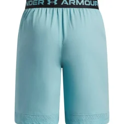 Vanish Performance Gym Shorts