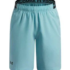 Vanish Performance Gym Shorts