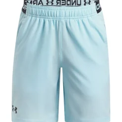 Vanish Performance Gym Shorts