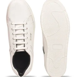 Wolf Trainer Sn62