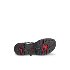 Women's Seasonal Walking Sandals