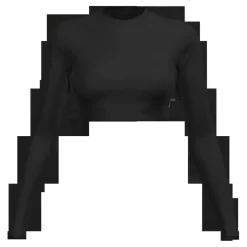 Women's Long Sleeve Cropped Top