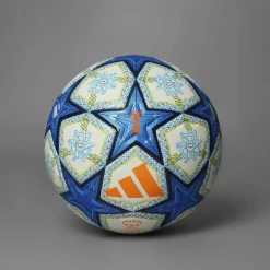 WUCL Pro Football 2024 2025